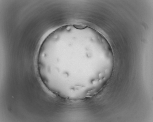 X0000113921152200910151434