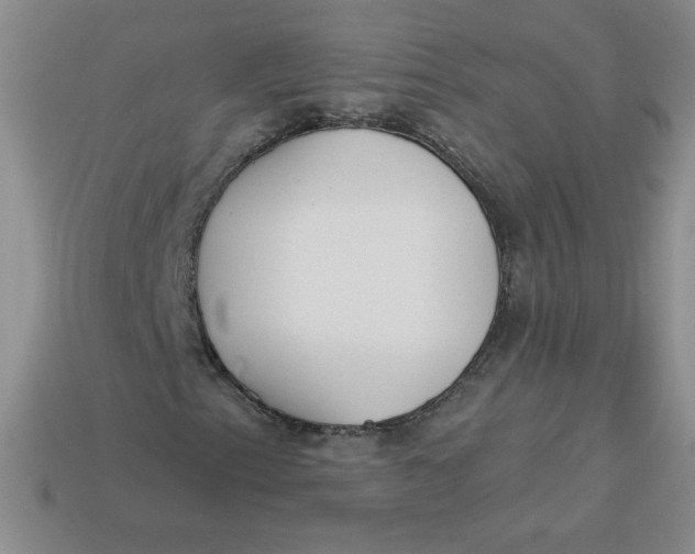X0000113921153200910151433