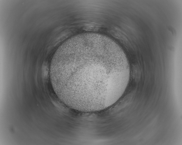 X0000113921154200910151433