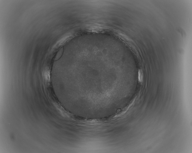 X0000113921155200910151433