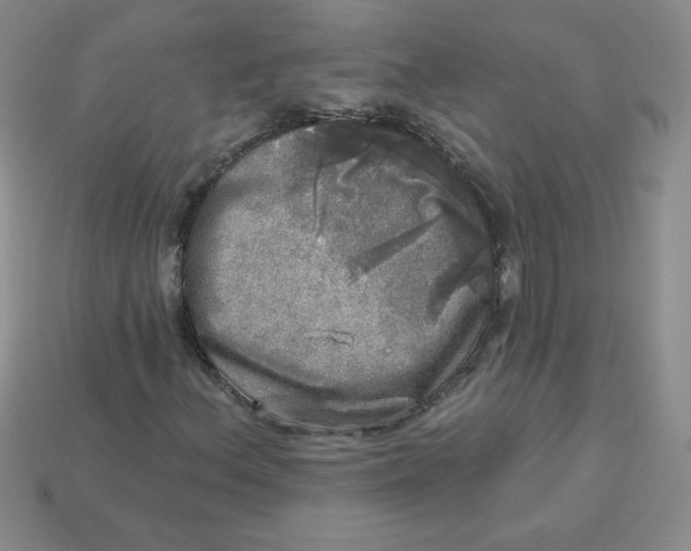 X0000113921156200910151433
