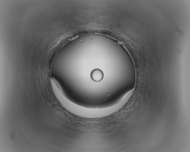 X0000113921157200910151433