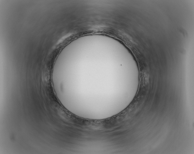 X0000113921158200910151433