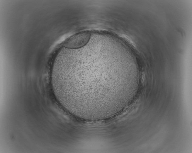 X0000113921159200910151433