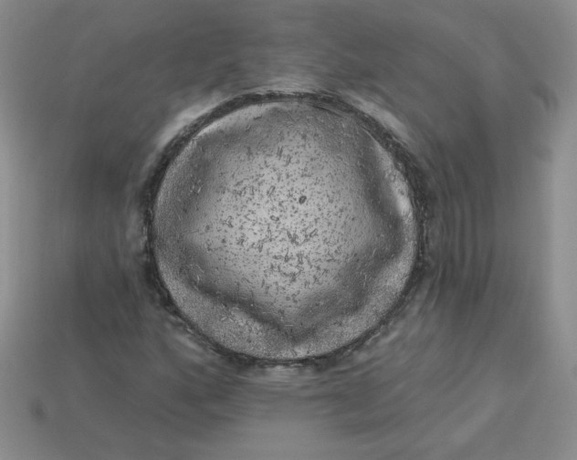 X0000113921160200910151433