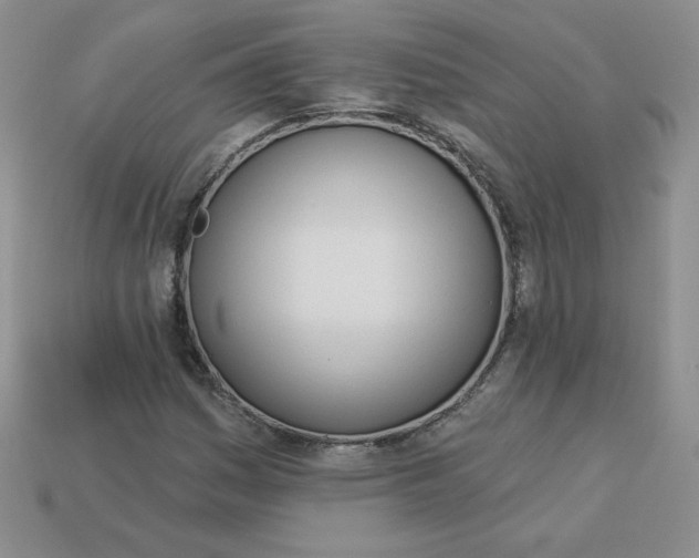 X0000113921161200910151433