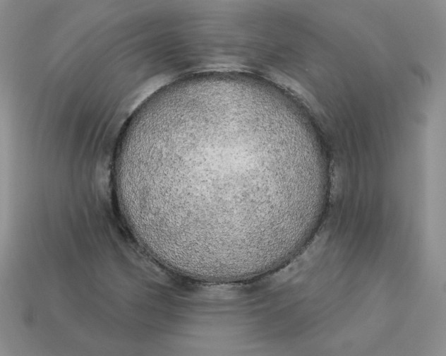 X0000113921162200910151433