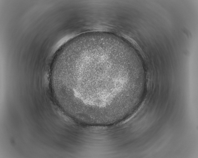X0000113921163200910151433