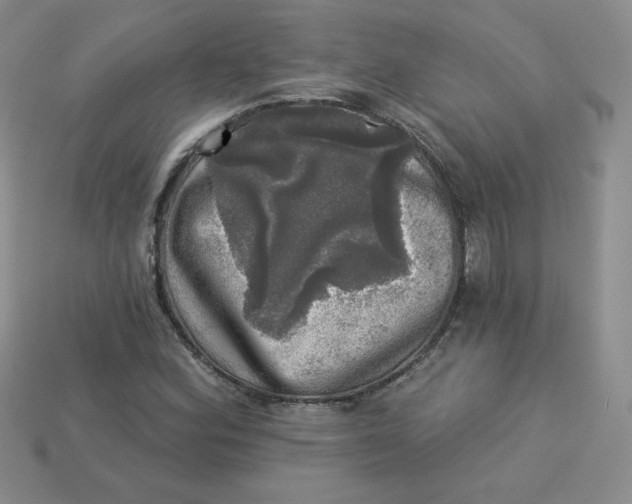 X0000113921164200910151433
