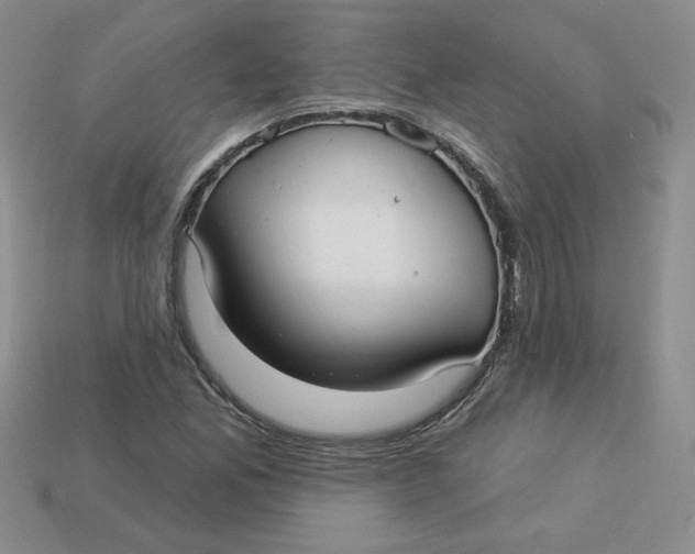 X0000113921165200910151433