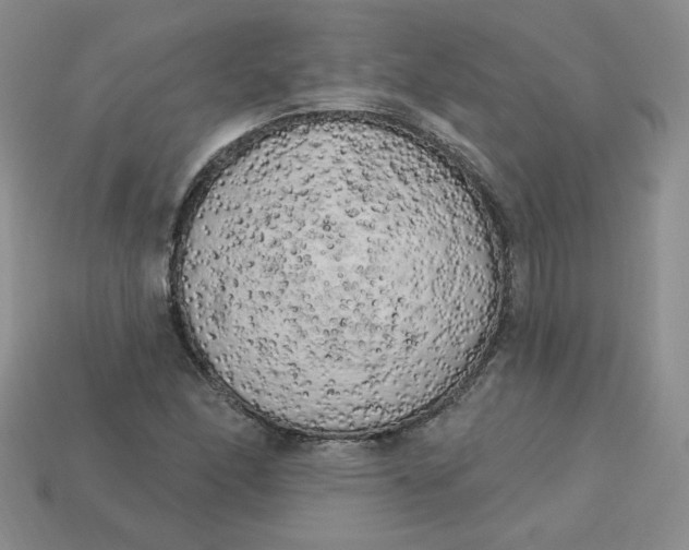 X0000113921166200910151433