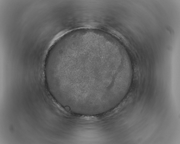 X0000113921168200910151433