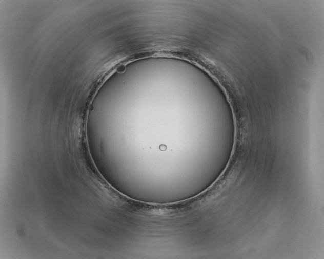 X0000113921169200910151433