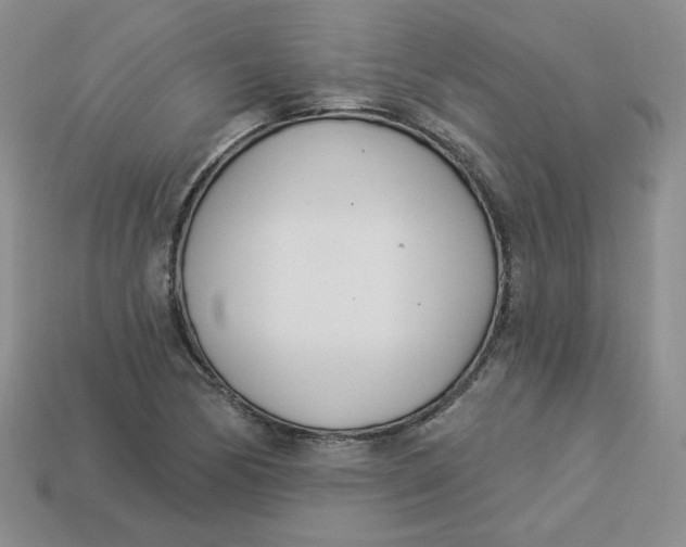 X0000113921170200910151433