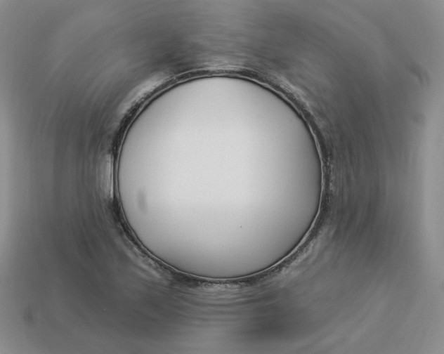 X0000113921171200910151433