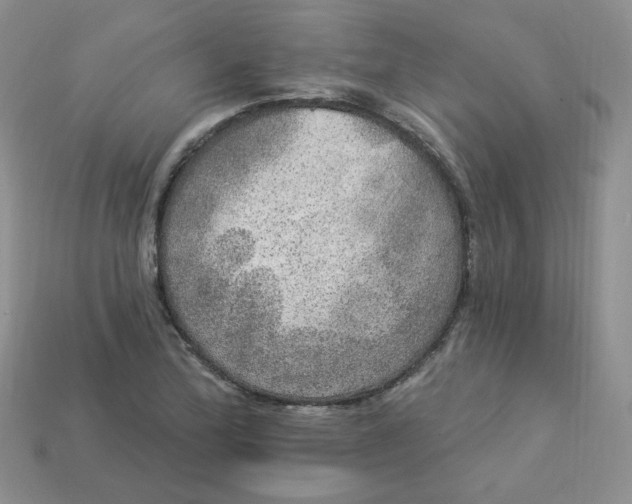 X0000113921172200910151433