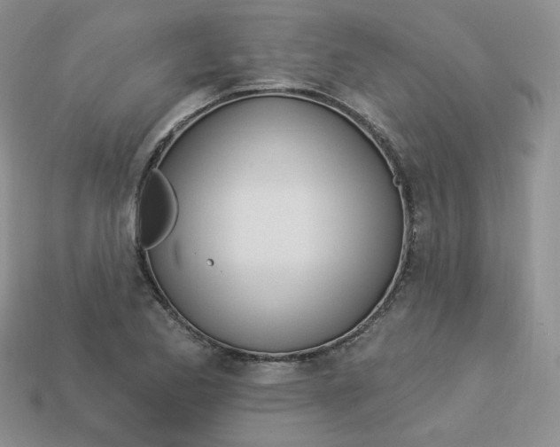 X0000113921173200910151433