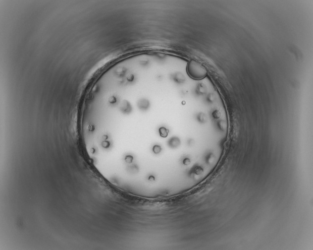 X0000113921174200910151433