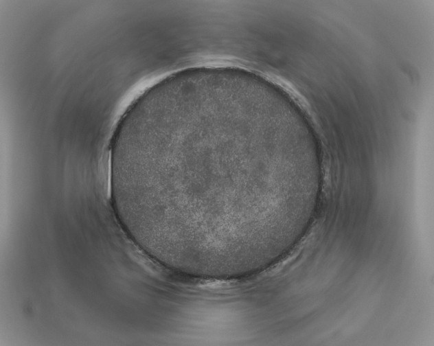 X0000113921175200910151433