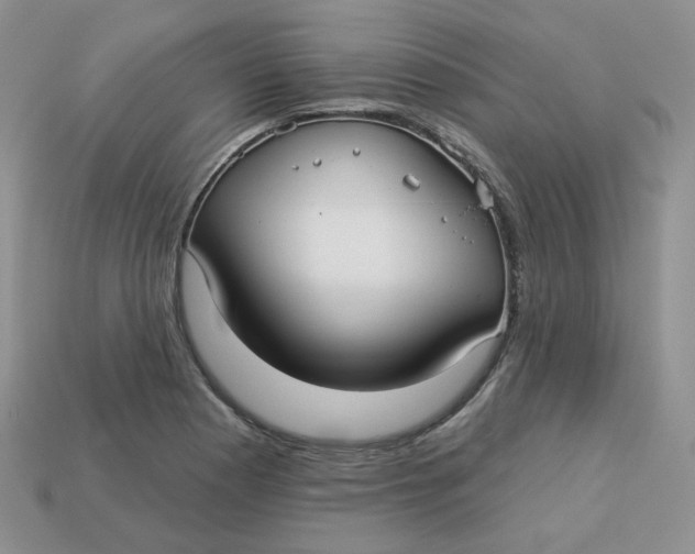 X0000113921177200910151433
