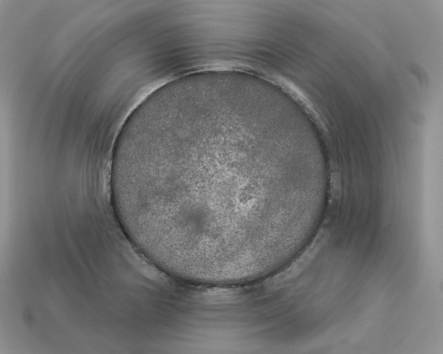 X0000113921178200910151433