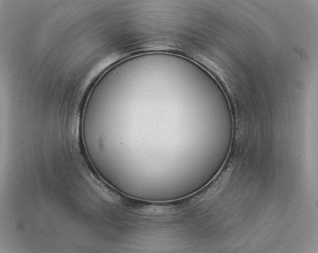 X0000113921179200910151433