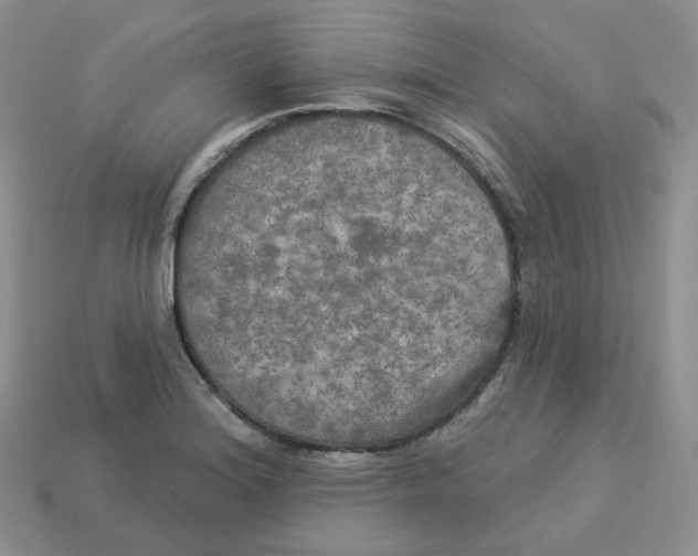 X0000113921180200910151433