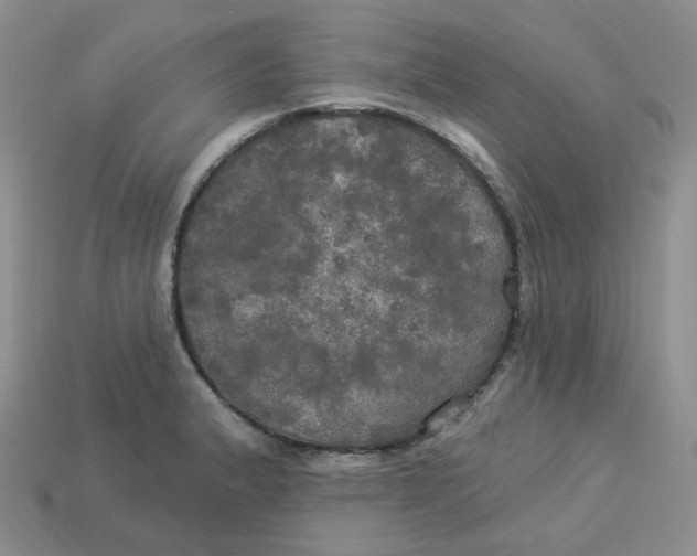X0000113921183200910151433