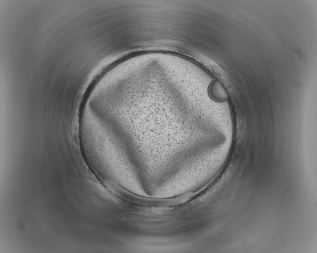 X0000113921184200910151433