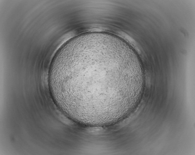 X0000113921186200910151433