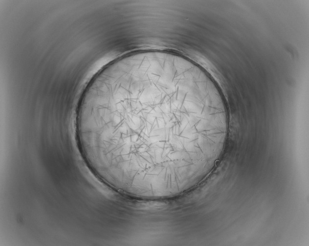 X0000113921187200910151433