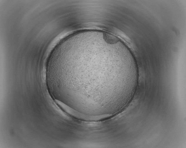 X0000113921188200910151433