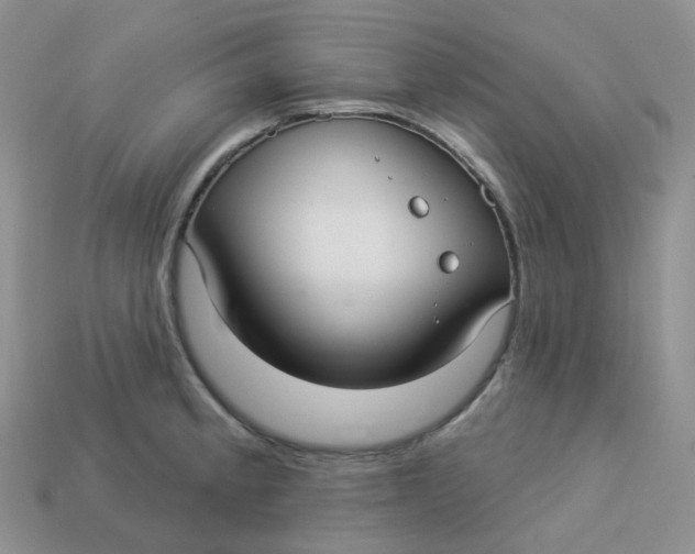 X0000113921189200910151433