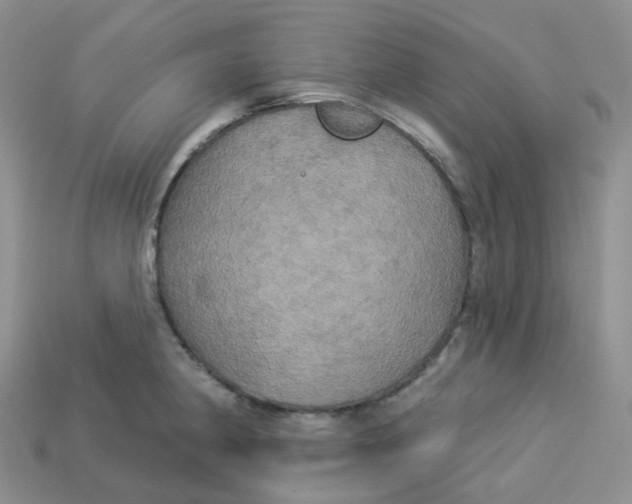 X0000113921190200910151433
