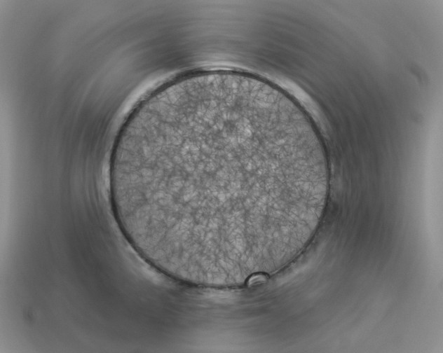 X0000113921191200910151433