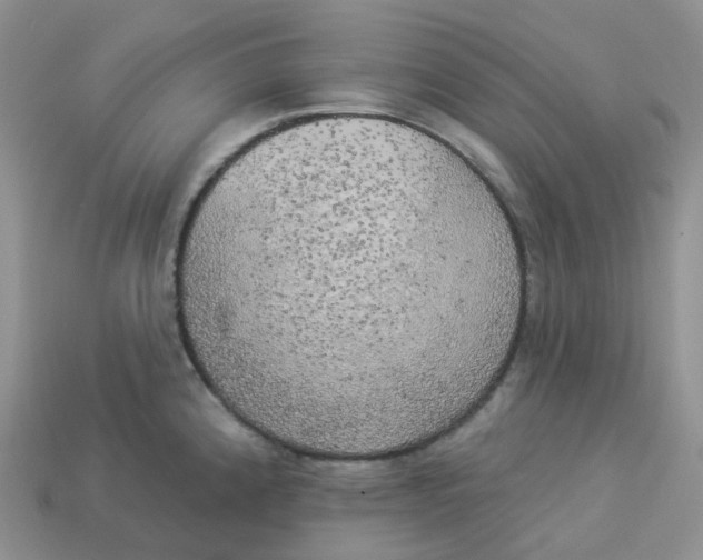 X0000113921192200910151433