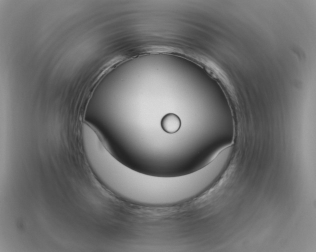 X0000113921193200910151433
