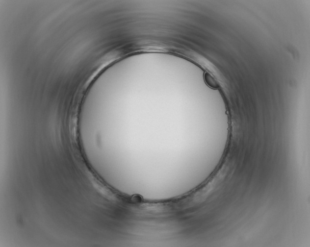 X0000113921194200910151432