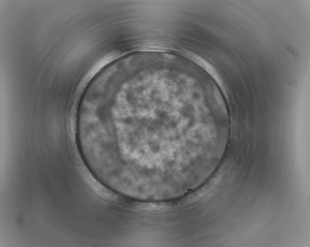 X0000113921195200910151432