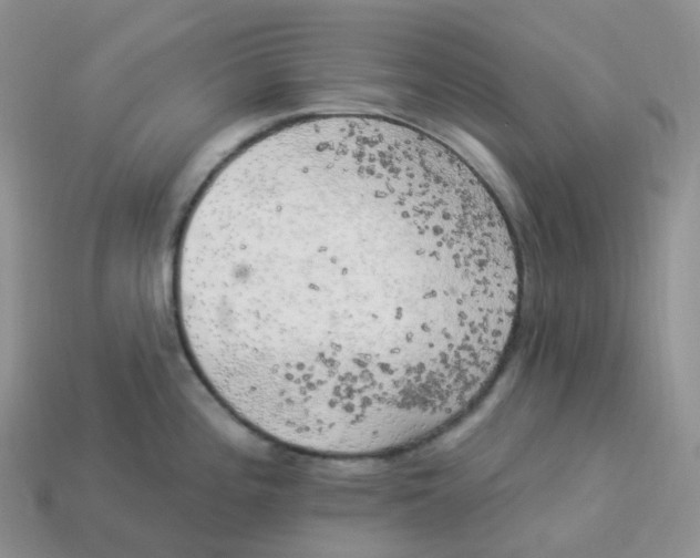 X0000113921196200910151432