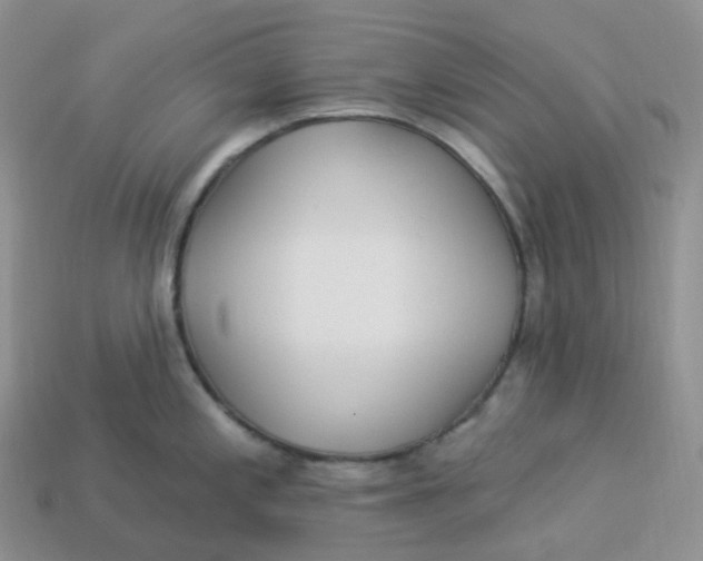 X0000113921197200910151432