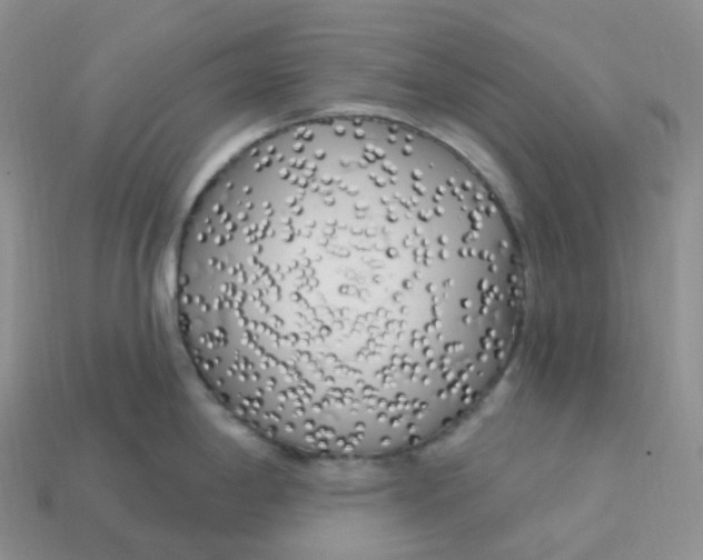 X0000113921198200910151432