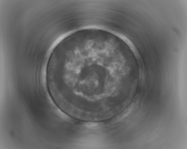 X0000113921199200910151432