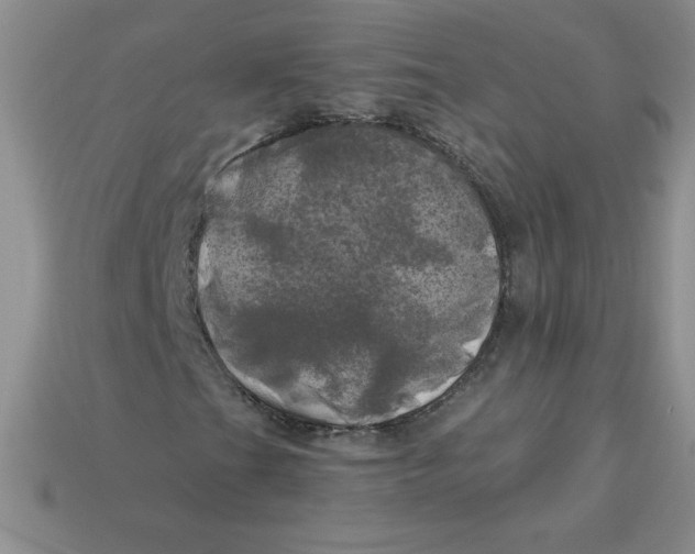 X0000113921201200910151432