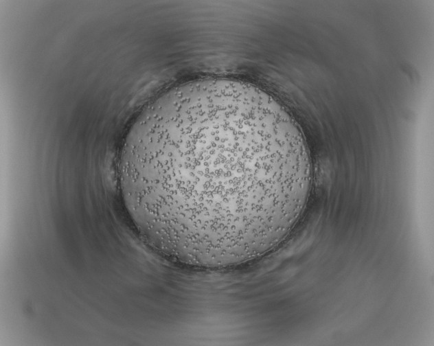 X0000113921202200910151432
