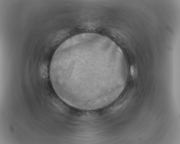 X0000113921203200910151432