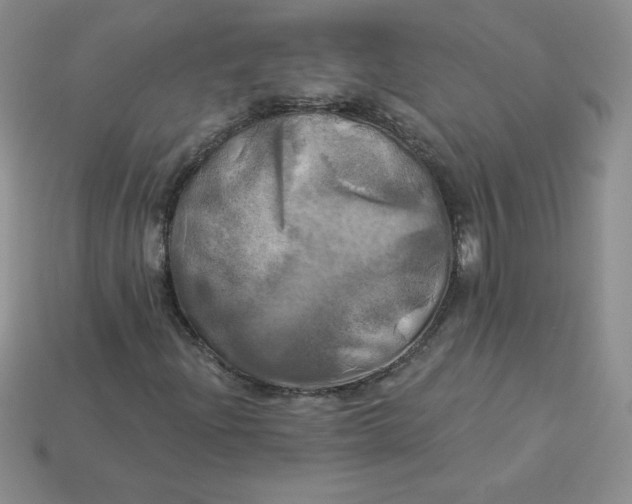 X0000113921204200910151432