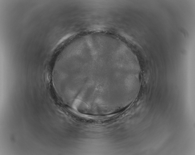 X0000113921206200910151432