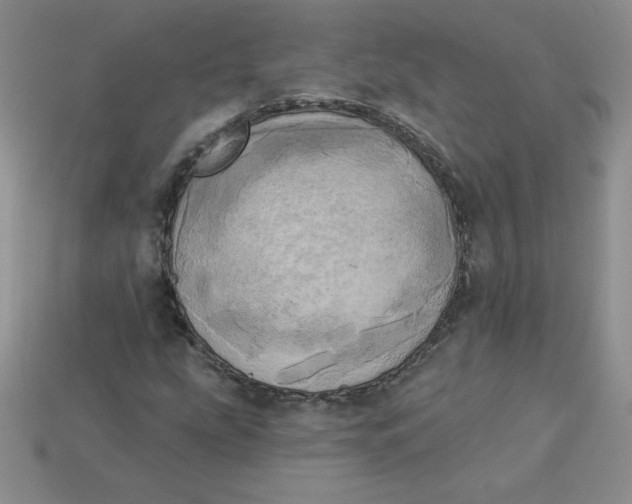 X0000113921207200910151432