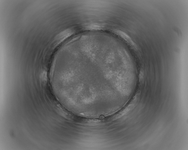 X0000113921209200910151432